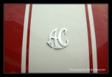 AC Cobra Pilgrim.DNG-2